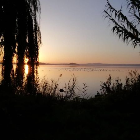 La Fenice Montefiascone Bagian luar foto