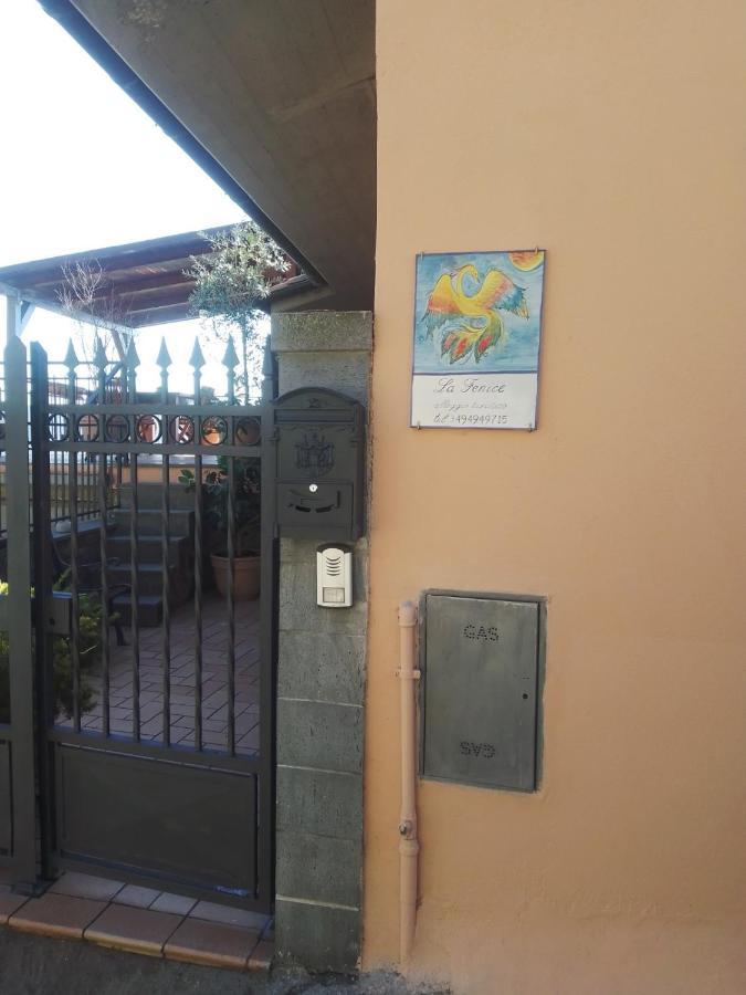 La Fenice Montefiascone Bagian luar foto