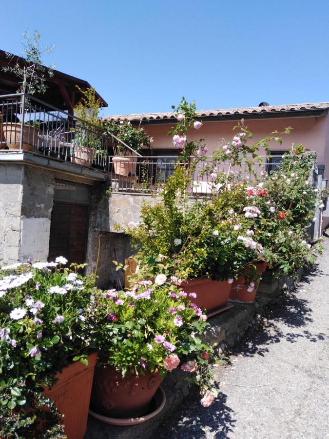 La Fenice Montefiascone Bagian luar foto