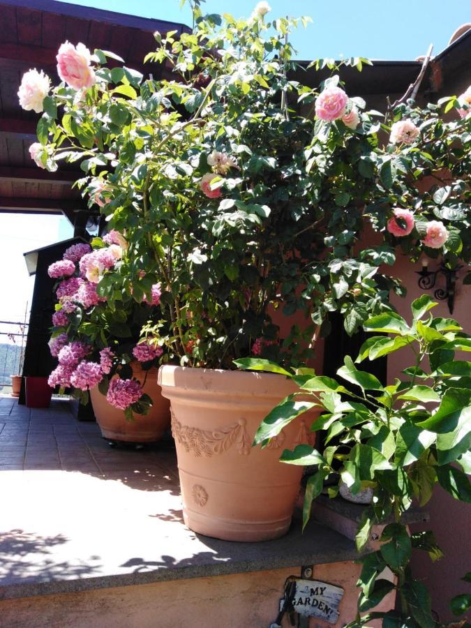 La Fenice Montefiascone Bagian luar foto