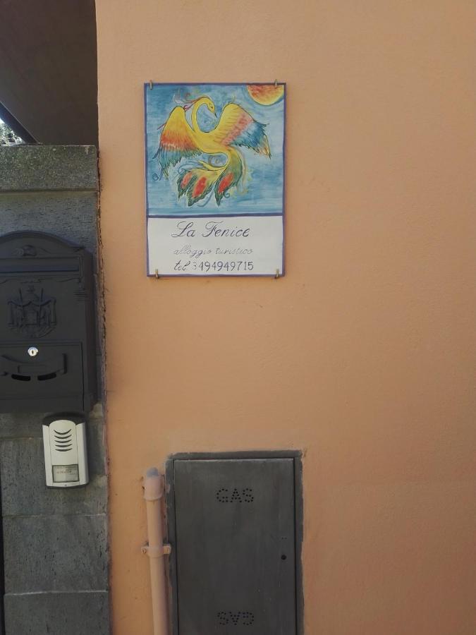 La Fenice Montefiascone Bagian luar foto