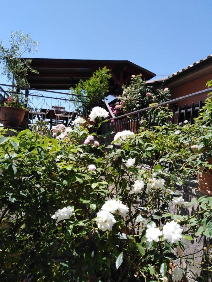 La Fenice Montefiascone Bagian luar foto