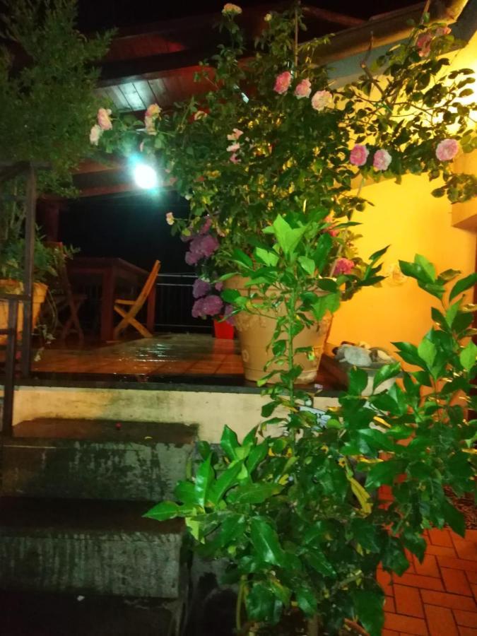 La Fenice Montefiascone Bagian luar foto
