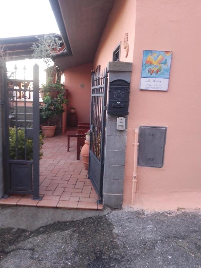 La Fenice Montefiascone Bagian luar foto