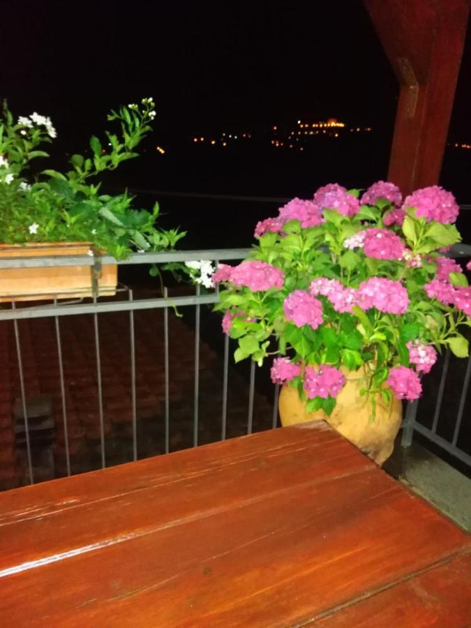 La Fenice Montefiascone Bagian luar foto