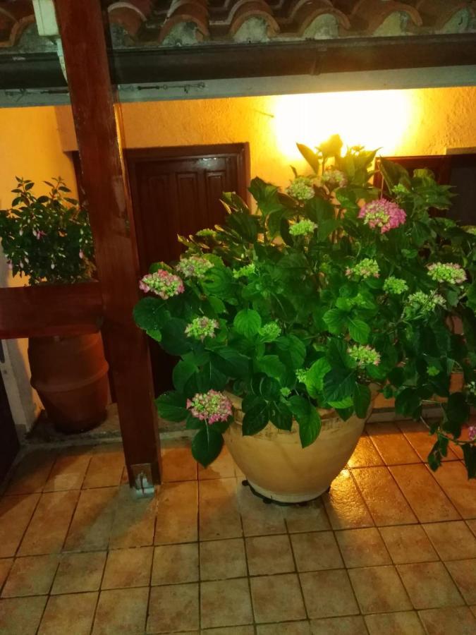 La Fenice Montefiascone Bagian luar foto