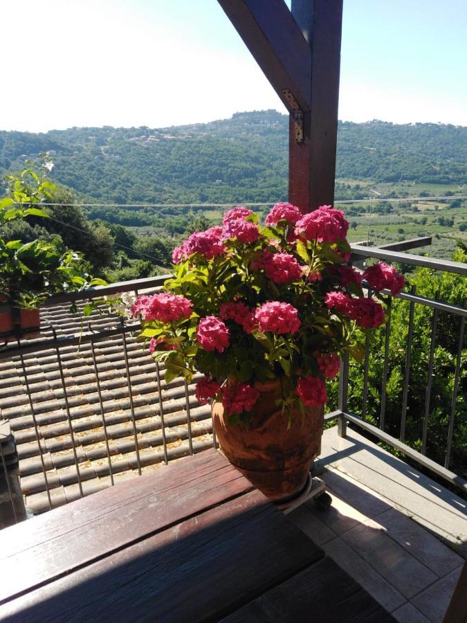La Fenice Montefiascone Bagian luar foto