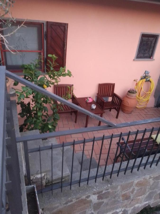 La Fenice Montefiascone Bagian luar foto