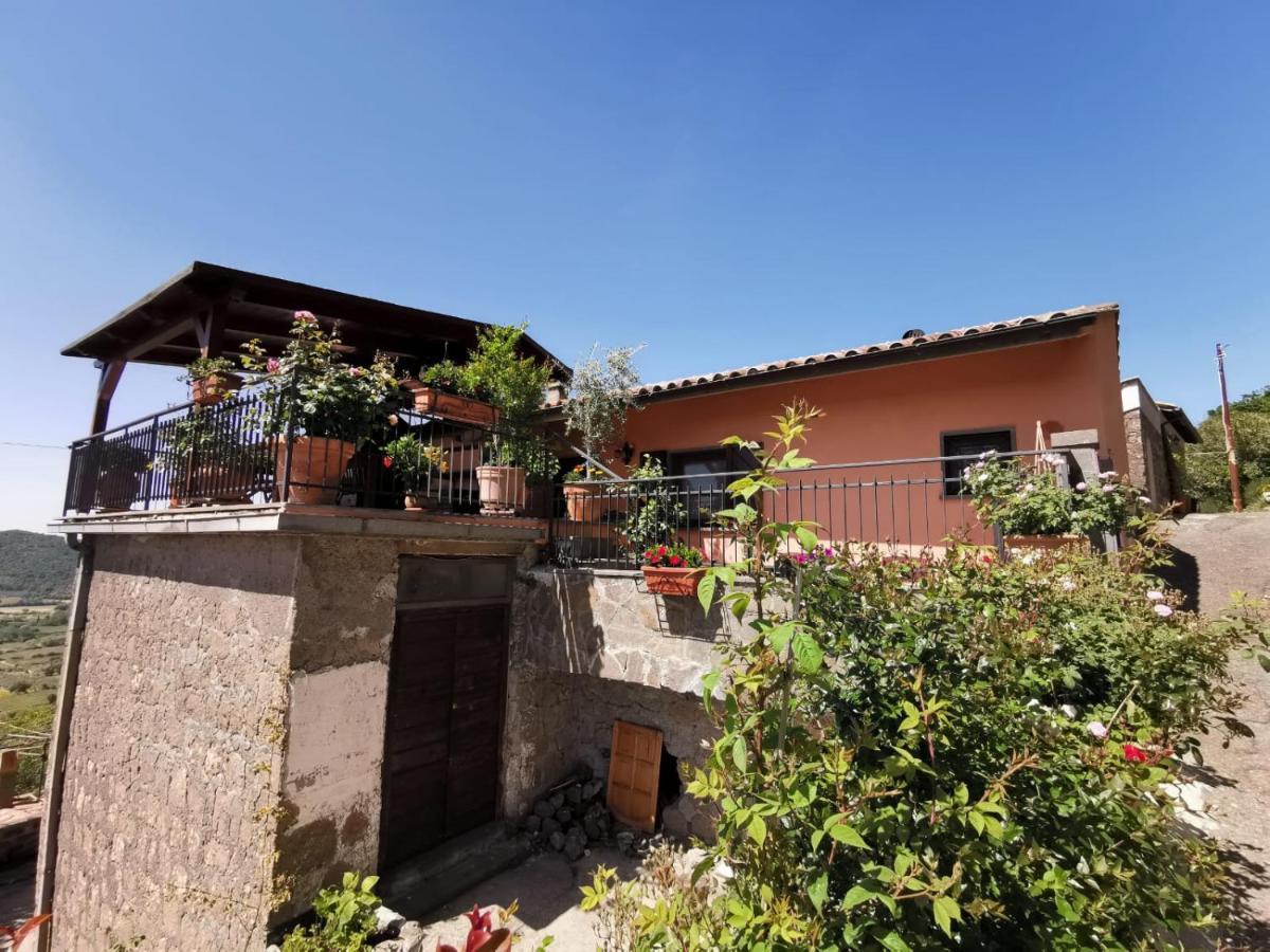 La Fenice Montefiascone Bagian luar foto