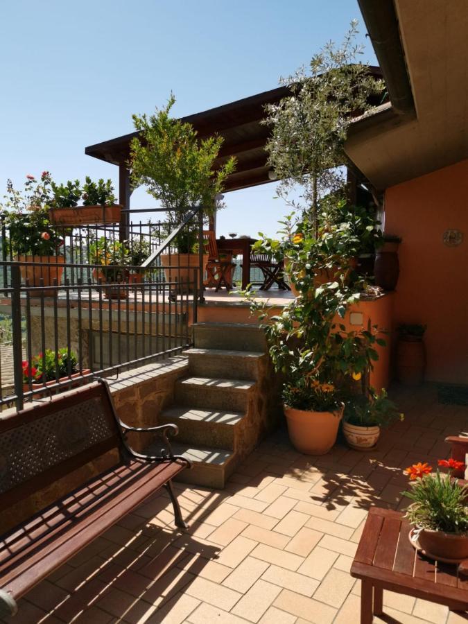 La Fenice Montefiascone Bagian luar foto