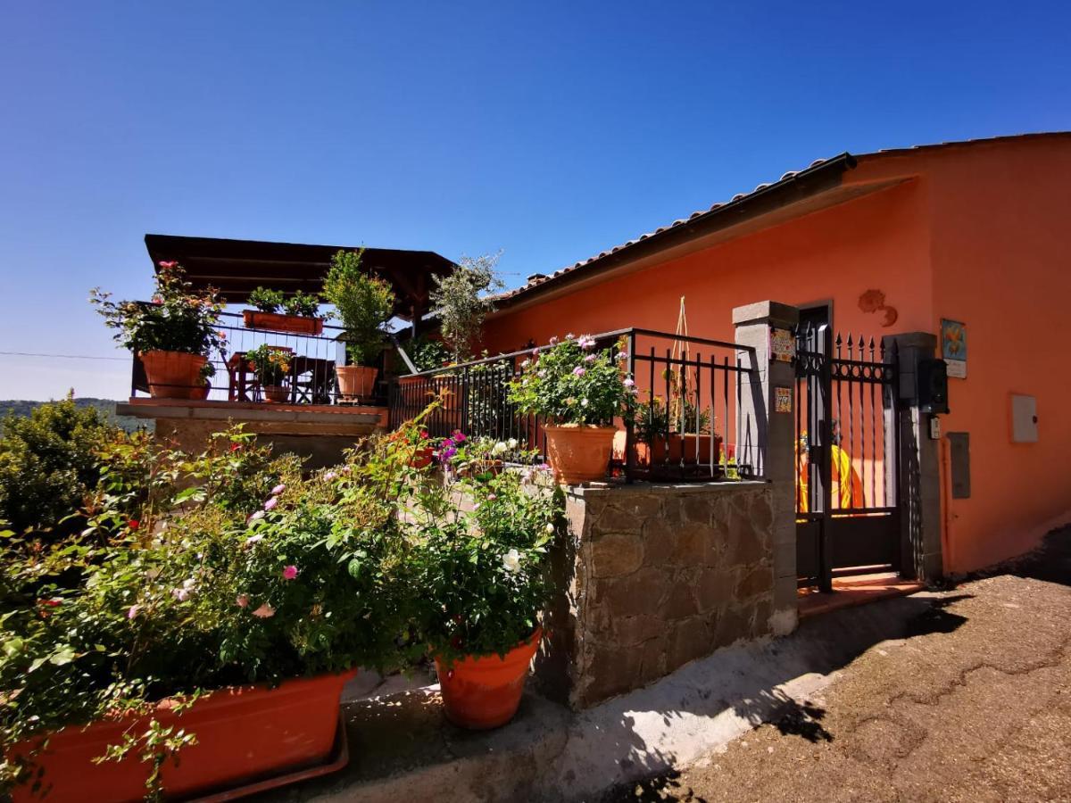 La Fenice Montefiascone Bagian luar foto