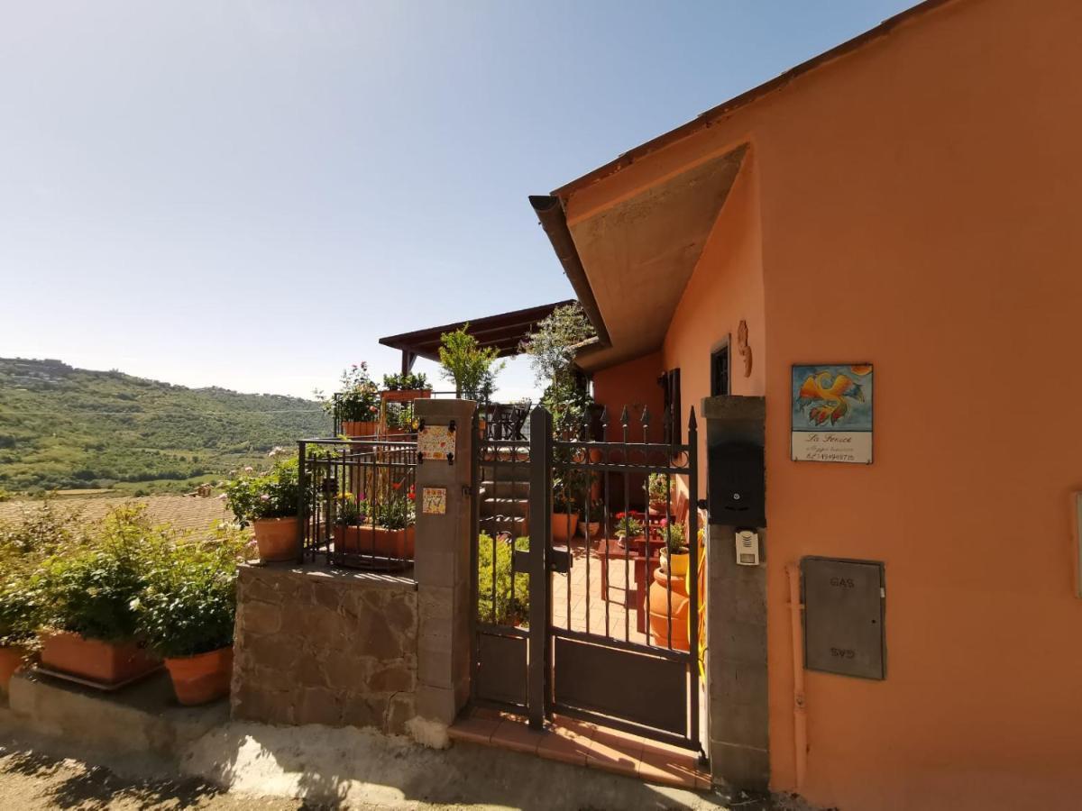 La Fenice Montefiascone Bagian luar foto