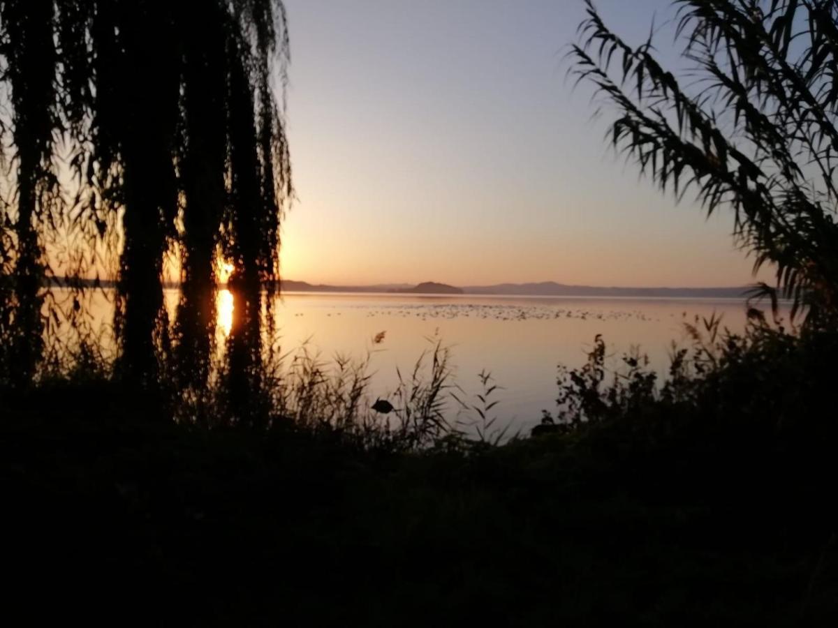 La Fenice Montefiascone Bagian luar foto