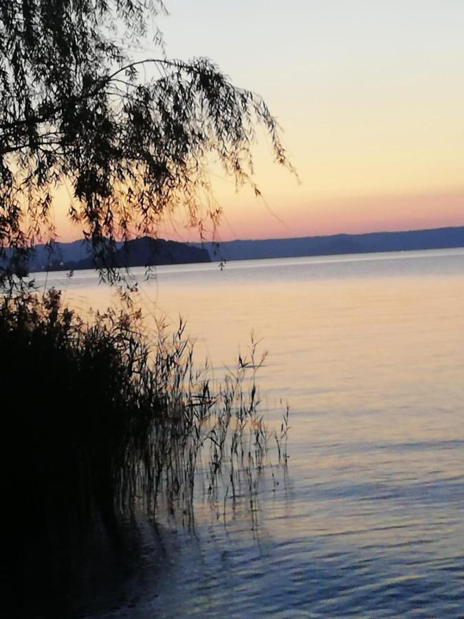 La Fenice Montefiascone Bagian luar foto