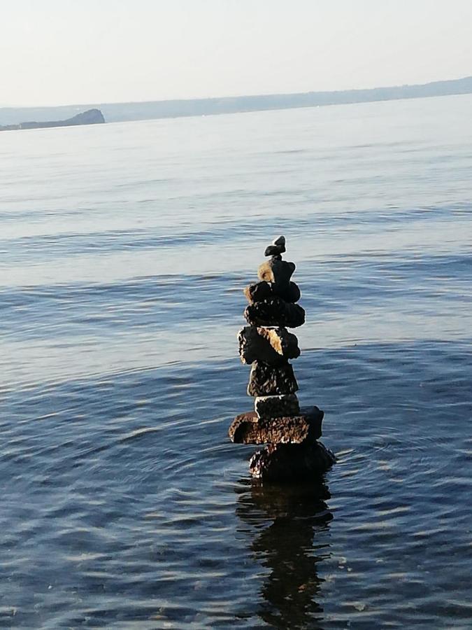 La Fenice Montefiascone Bagian luar foto