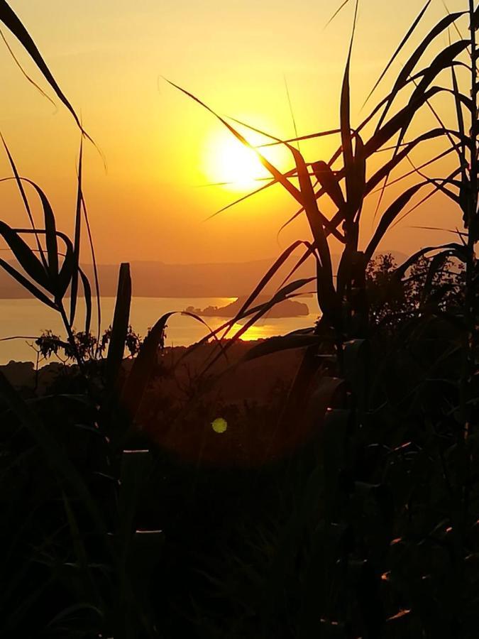 La Fenice Montefiascone Bagian luar foto