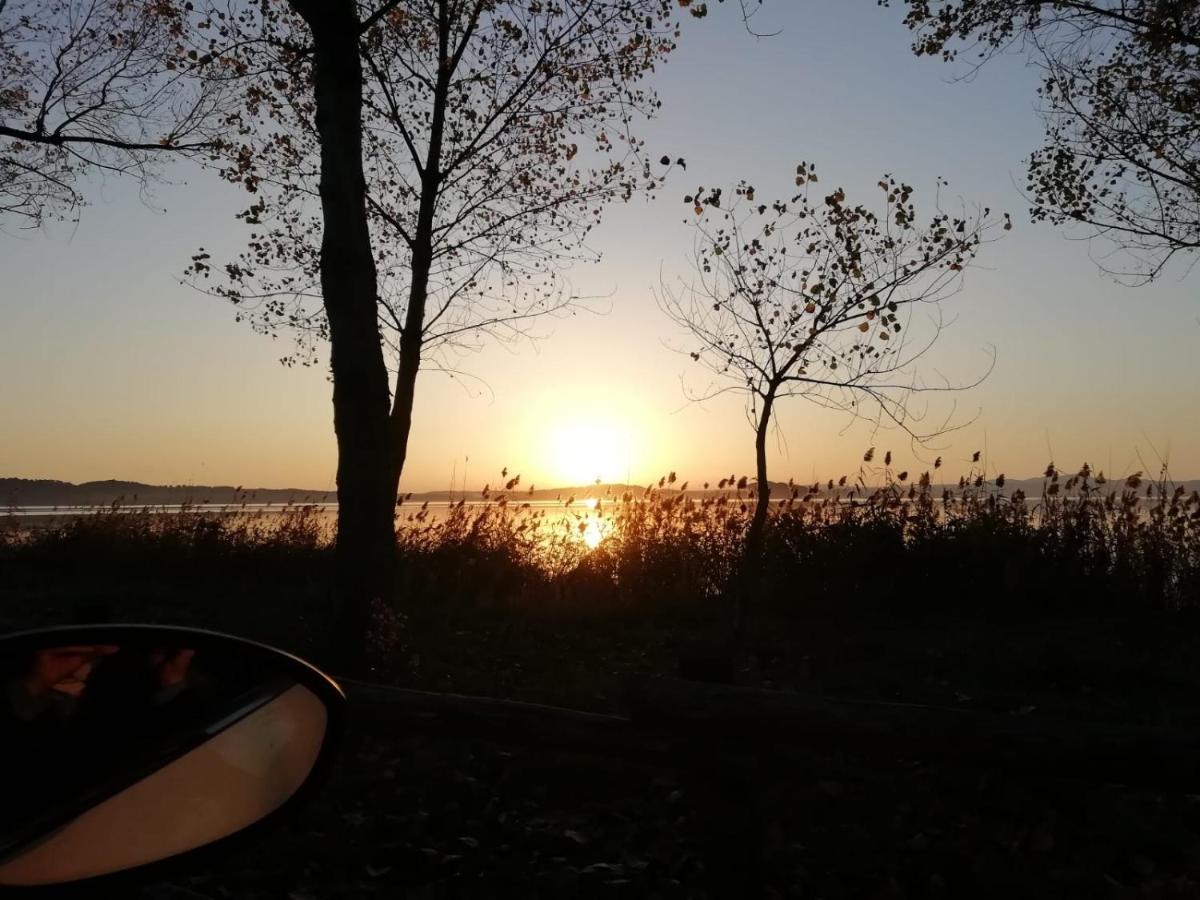 La Fenice Montefiascone Bagian luar foto